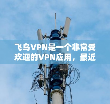 飞鸟VPN是一个非常受欢迎的VPN应用，最近也会推出了一些版本。如果你想要下载并使用最新的版本，以下是一些常见的飞鸟VPN更新版本及其获取方法