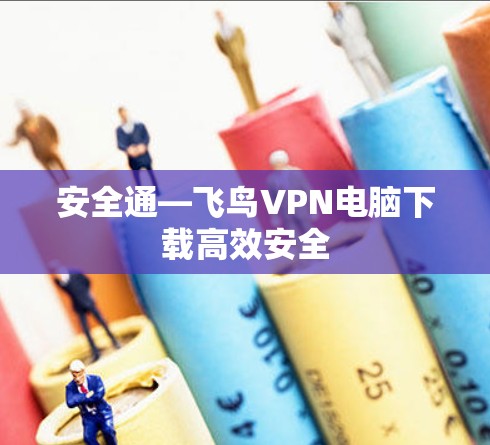 安全通—飞鸟VPN电脑下载高效安全 安全通—飞鸟VPN电脑下载高效安全