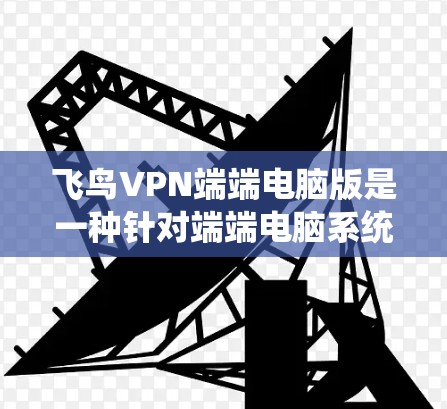 飞鸟VPN端端电脑版是一种针对端端电脑系统的网络VPN应用，旨在提供更强大的配置、更高的性能和更丰富的功能，以满足用户对多种设备连接和更复杂需求的需要。以下是该应用的主要特点总结