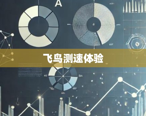 飞鸟测速体验