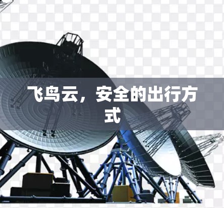 飞鸟云，安全的出行方式