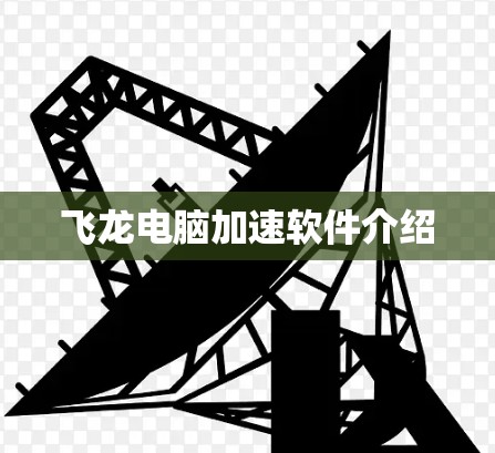 飞龙电脑加速软件介绍 飞龙电脑加速软件介绍