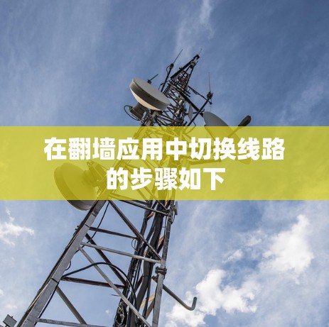 在翻墙应用中切换线路的步骤如下 在翻墙应用中切换线路的步骤如下