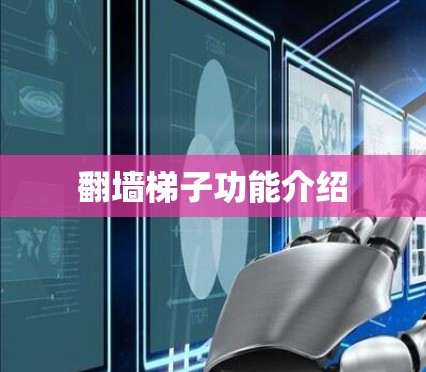 翻墙梯子功能介绍 翻墙梯子功能介绍