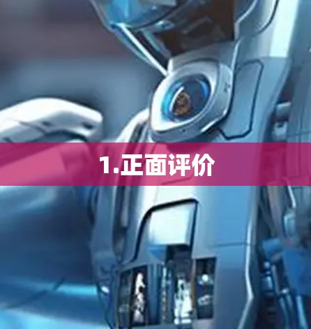 1.正面评价 1.正面评价
