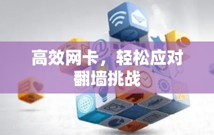 高效网卡，轻松应对翻墙挑战