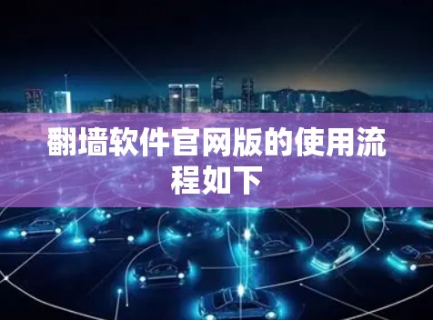 翻墙软件官网版的使用流程如下
