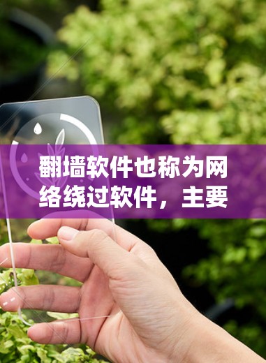 翻墙软件也称为网络绕过软件，主要用于绕过网站的访问限制，如HTTPS、缓存缓存等。以下是几种常见的翻墙软件推荐，供您参考