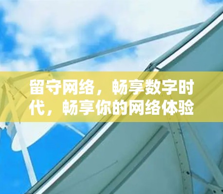 留守网络，畅享数字时代，畅享你的网络体验！