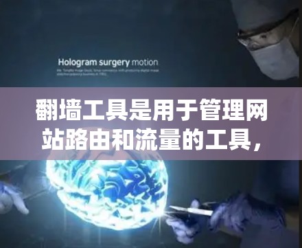 翻墙工具是用于管理网站路由和流量的工具，旨在帮助用户优化网站性能并保护数据安全。以下是从功能模块划分、用户界面设计、权限管理、安全保护和扩展性等方面对翻墙工具进行的系统总结