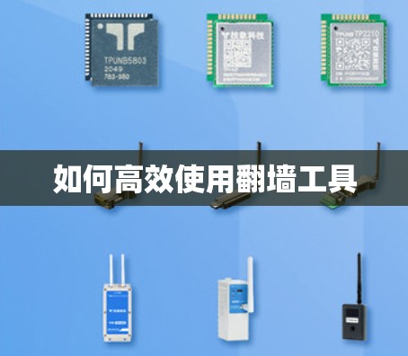 如何高效使用翻墙工具 如何高效使用翻墙工具
