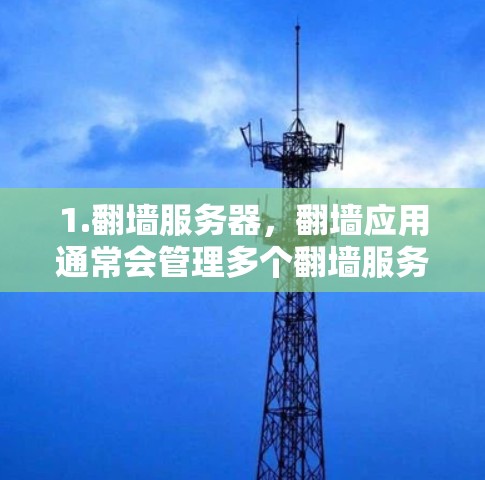 1.翻墙服务器，翻墙应用通常会管理多个翻墙服务器，用户可以通过节点库快速访问这些服务器