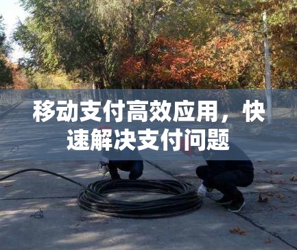 移动支付高效应用，快速解决支付问题