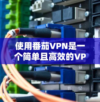 使用番茄VPN是一个简单且高效的VPN解决方案，旨在保护个人隐私并减少网络感染的风险。以下是一步步的使用指南