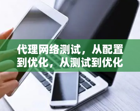代理网络测试,从配置到优化,从测试到优化的全面评估