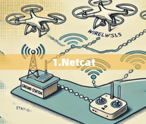 1.Netcat