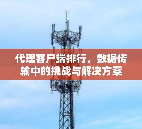 代理客户端排行,数据传输中的挑战与解决方案