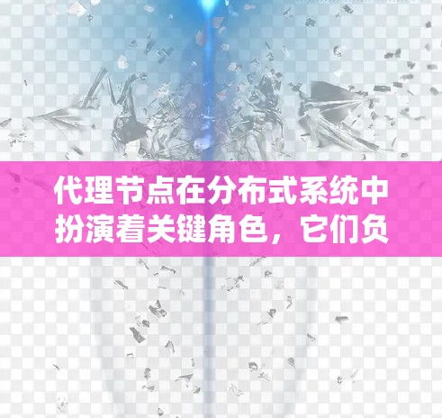 代理节点在分布式系统中扮演着关键角色，它们负责处理特定的任务，如请求处理、数据传输和结果返回。以下是对代理节点体验的系统架构和功能扩展的详细总结
