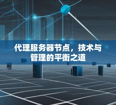 代理服务器节点,技术与管理的平衡之道