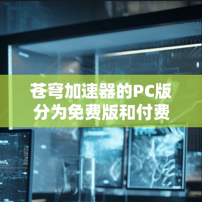 苍穹加速器的PC版分为免费版和付费版，用户可以根据需求选择使用。以下是详细的总结