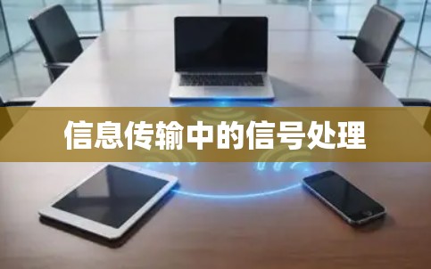 信息传输中的信号处理 信息传输中的信号处理