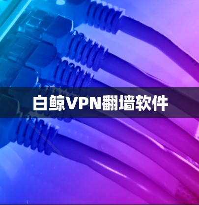 白鲸VPN翻墙软件