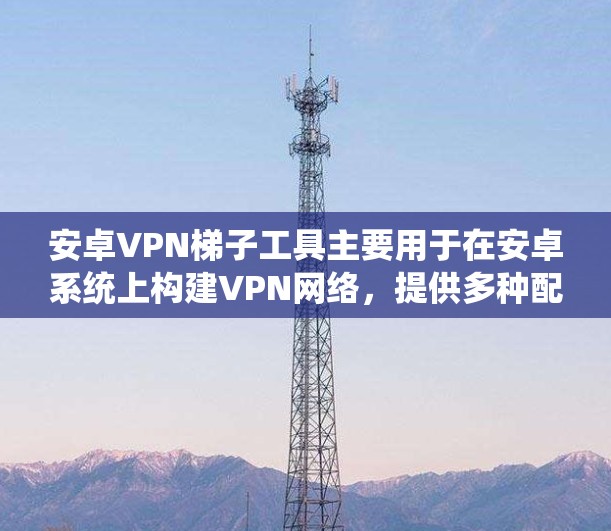 安卓VPN梯子工具主要用于在安卓系统上构建VPN网络，提供多种配置选项，以便用户在不同环境下个性化设置。以下是使用安卓VPN梯子工具的步骤