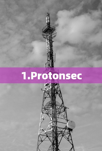 1.Protonsec