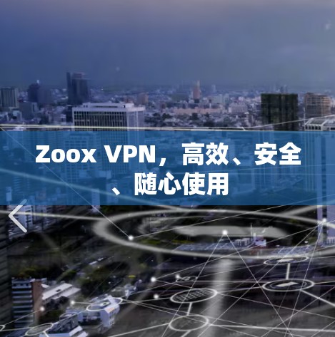 Zoox VPN,高效、安全、随心使用 Zoox VPN,高效、安全、随心使用